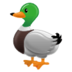 :duck: