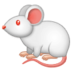 :mouse: